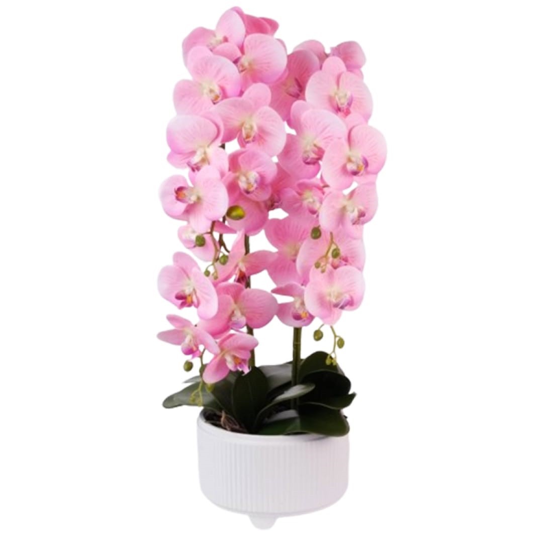 orhidee ceramic 01